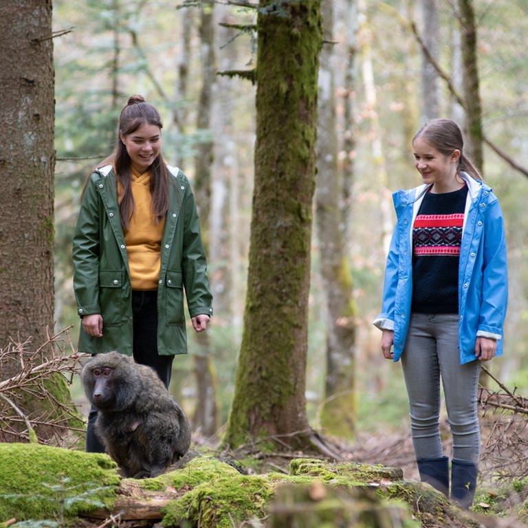 Leo und Lucy entdecken einen Pavian im Wald