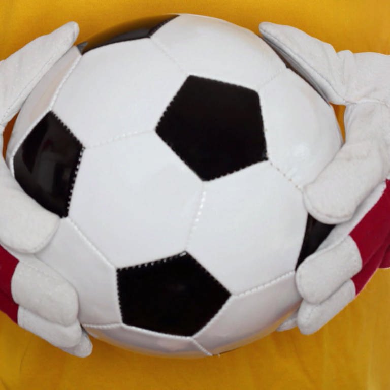 Großaufnahme eines Fußballs in Händen des Torwarts (Foto: SWR)