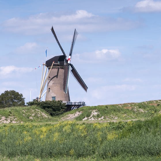 Windmühlen in den Niederlanden (Foto: Colourbox)