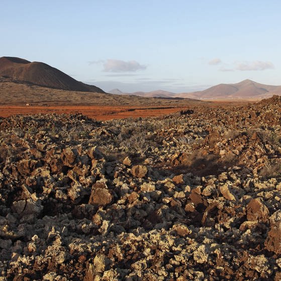 Eine Steinwüste auf Fuerteventura