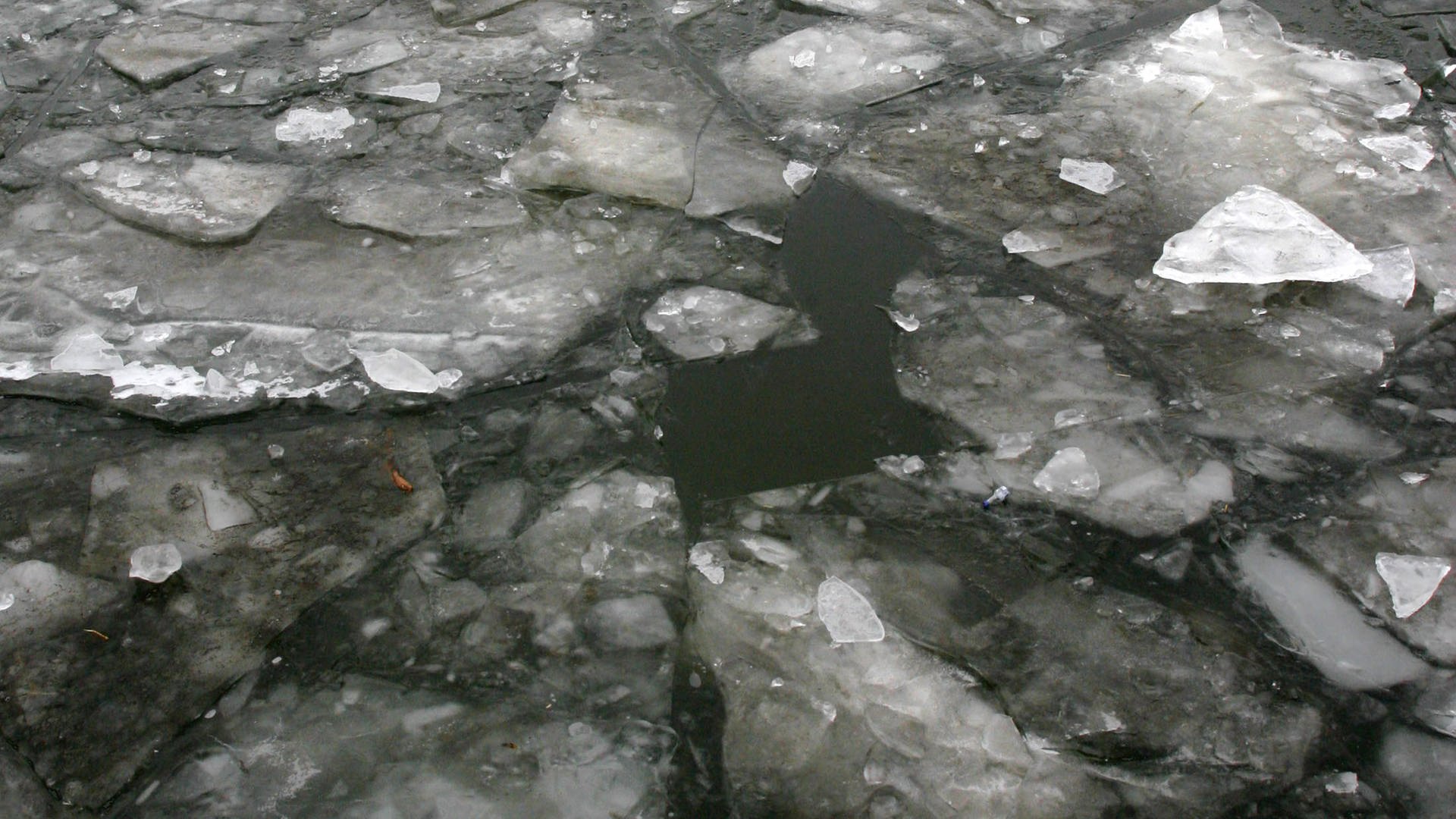 Eisschollen schwimmen auf Elbe-Havel-Kanal