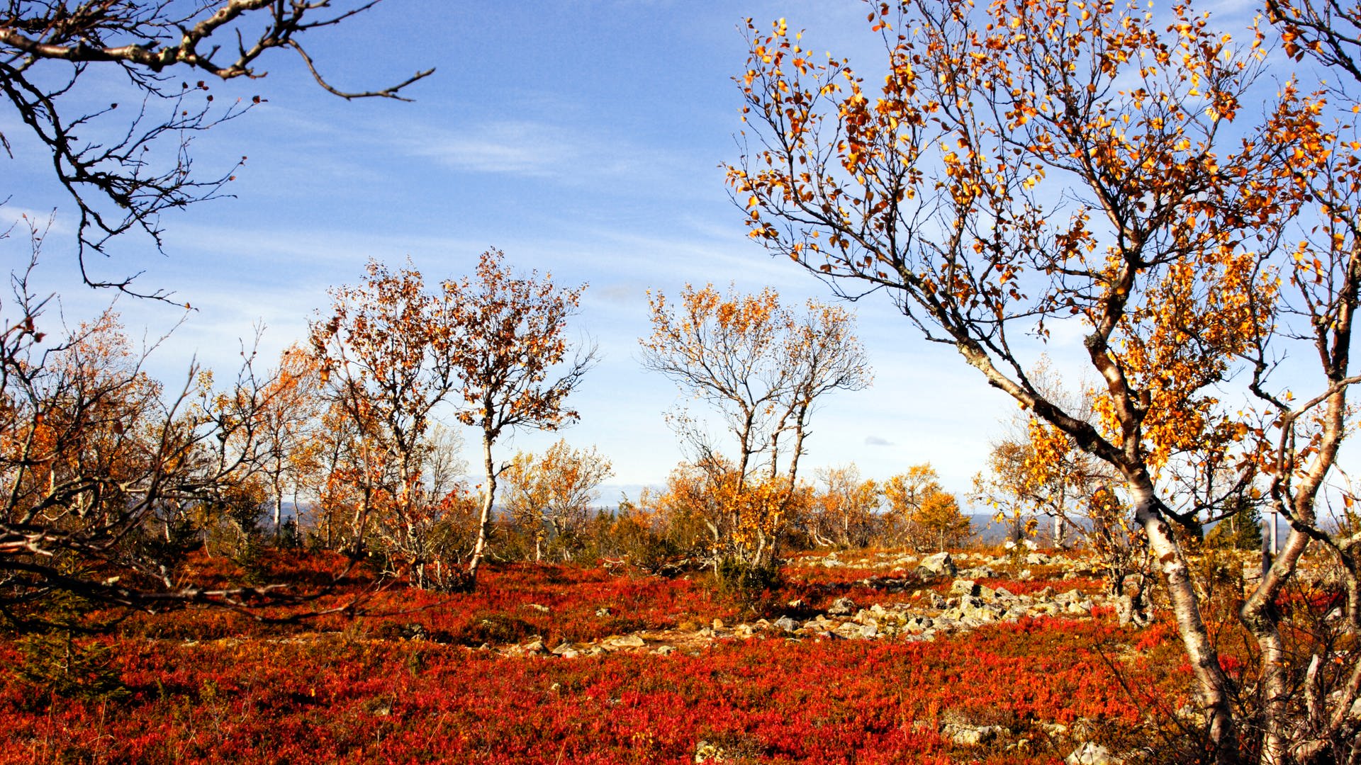 Lappland (Herbst)