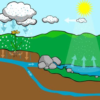 Grafik: Der Wasserkreislauf