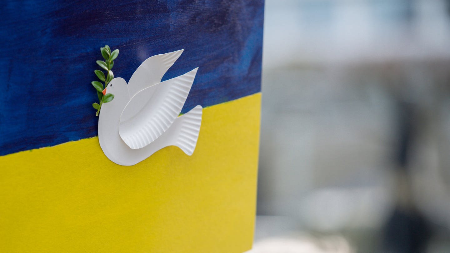 Friedenstaube auf Ukraine Flagge, anlässlich dem Krieg in der Ukraine.