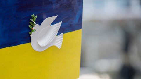 Friedenstaube auf Ukraine Flagge, anlässlich dem Krieg in der Ukraine. (Foto: picture-alliance / Reportdienste, picture alliance / Kirchner-Media | Christopher Neundorf)