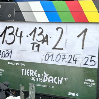 Film-Klappe Tiere bis unters Dach