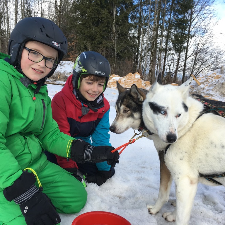 Connor und Arthur mit den Huskys (Foto: SWR, SWR)