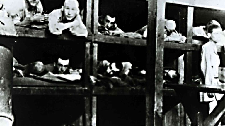 Konzentrationslager Die Befreiung Von Auschwitz Der Krieg Und Ich Sendungen Swr Kindernetz