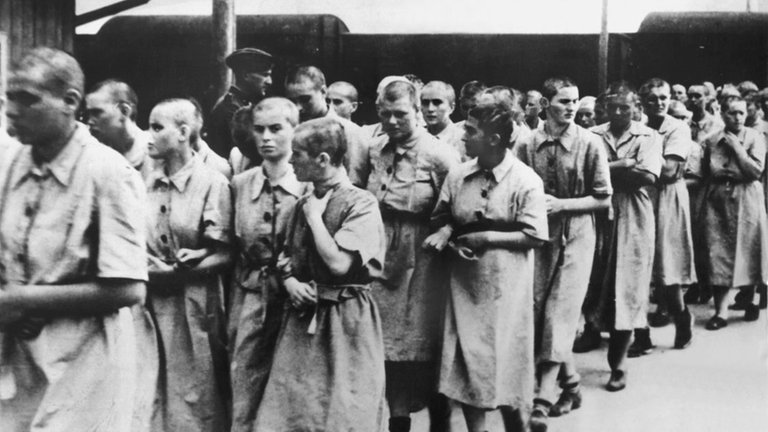 Frauen im KZ Auschwitz (Foto: dpa Bildfunk, Picture Alliance)