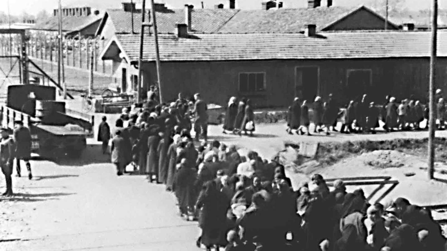 Häftlinge im Lager Auschwitz. (Foto: dpa Bildfunk, Picture Alliance)