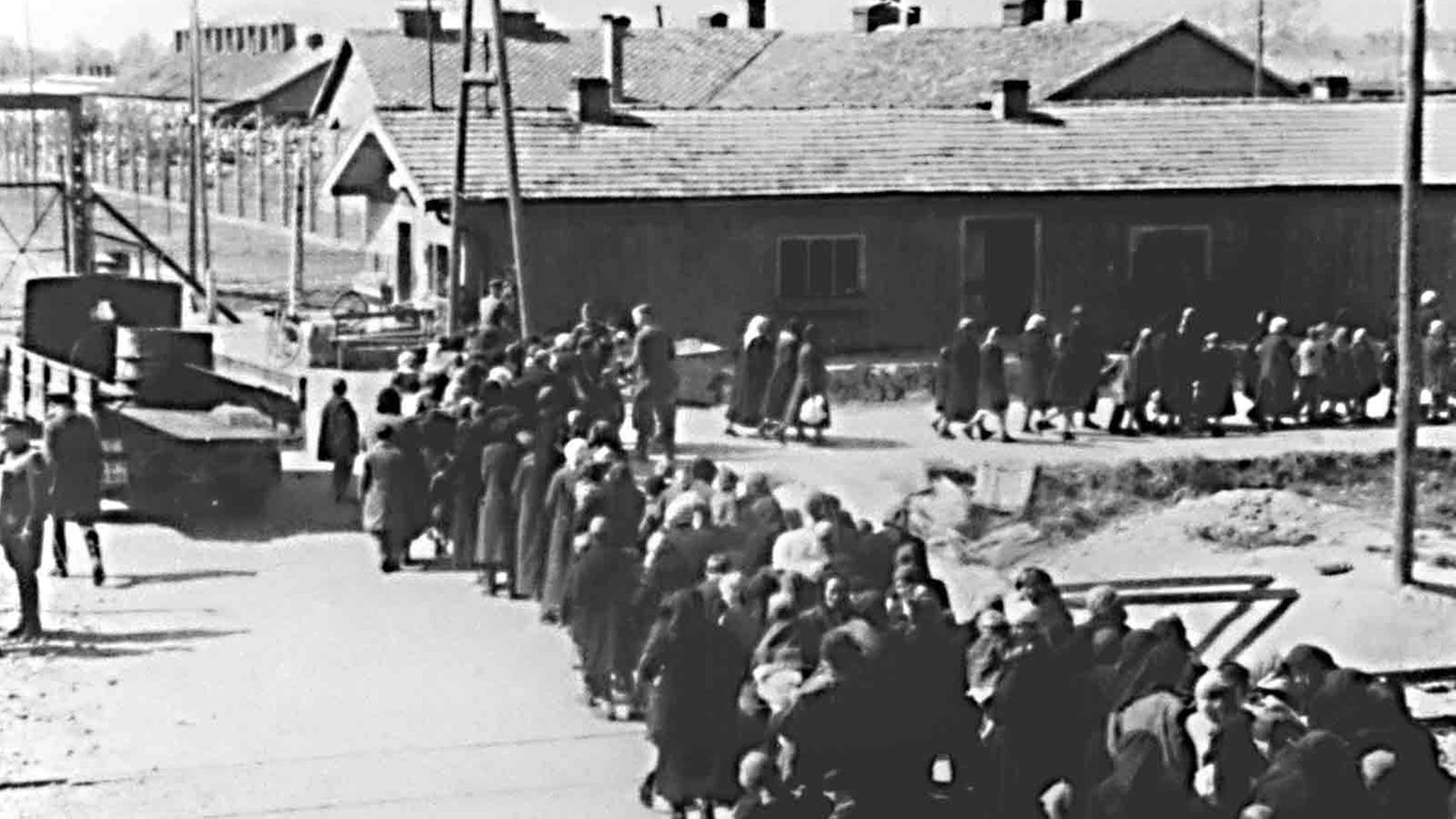 Foto: dpa Bildfunk, Picture Alliance Häftlinge im Lager Auschwitz. (Foto: dpa Bildfunk, Picture Alliance)