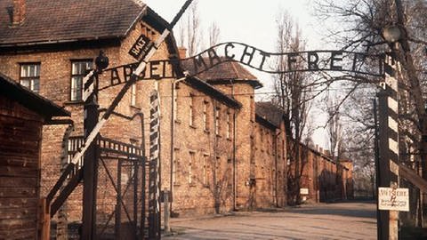 Das Lagertor von Auschwitz mit der Aufschrift "Arbeit macht frei". (Foto: dpa Bildfunk, Picture Alliance)