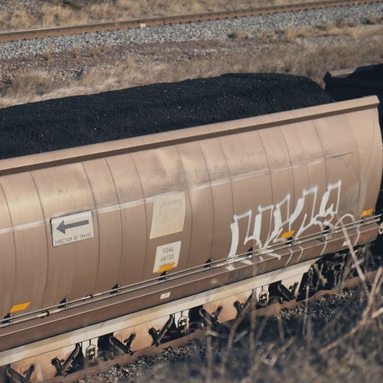 Kohlezüge transportieren täglich 10.000 Tonnen Kohle von der Kohlemine in Collinsville an den Hafen Abbot Point.   (Foto: SWR, Irja von Bernstorff)