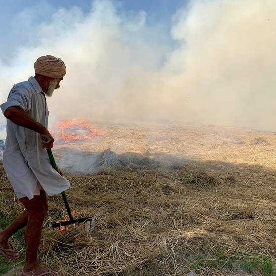 Ein Bauer in Punjab brennt die Erntereste auf seinen Feldern ab. 