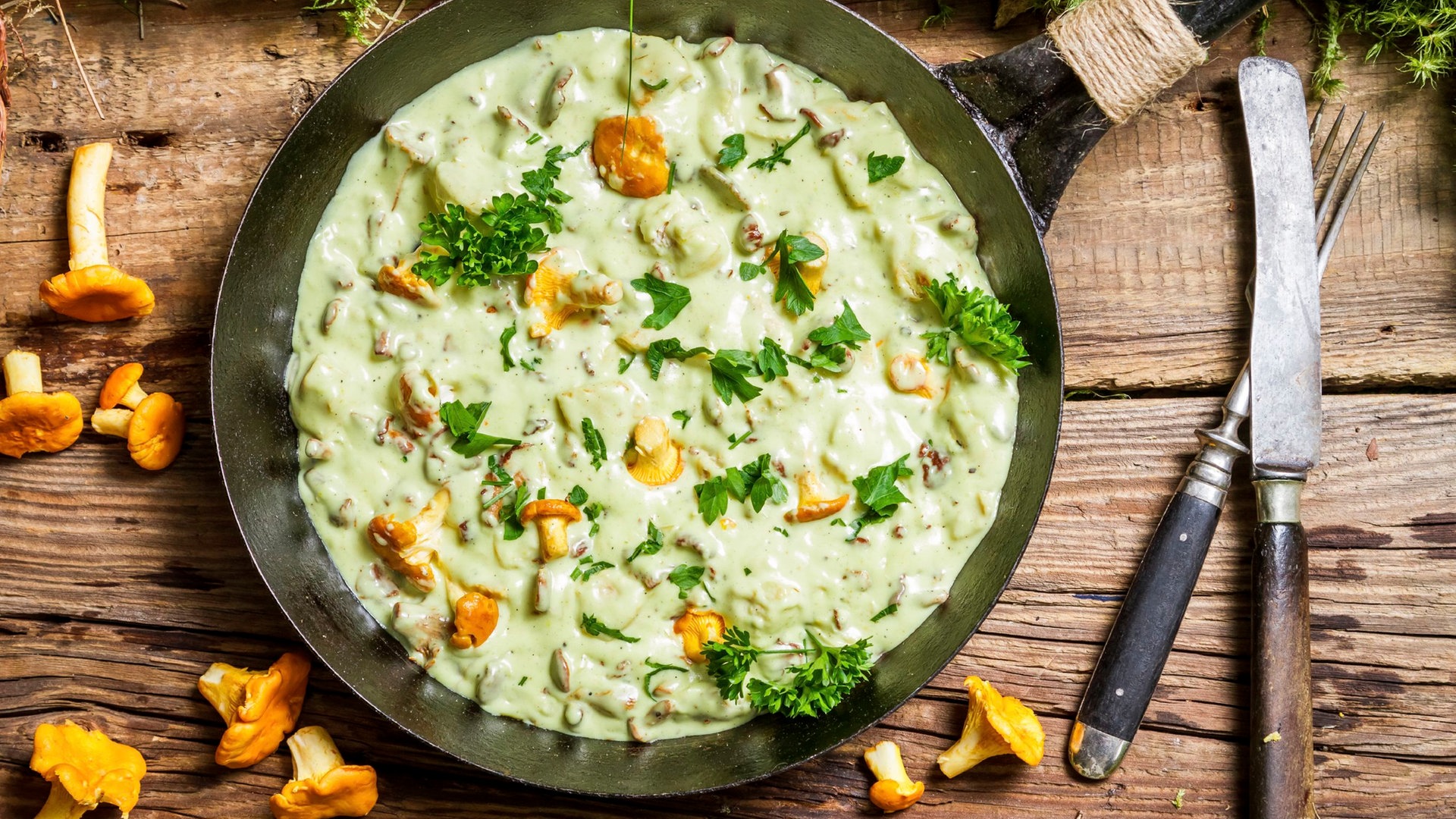 Foto: iStock Pfifferlinge in Sahnesoße (Foto: iStock)