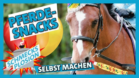 Pferdekuchen backen (Foto: SWR)