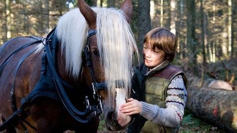 Darsteller der Serie "Tiere bis unters Dach" mit einem Pferd (Foto: SWR, SWR -)