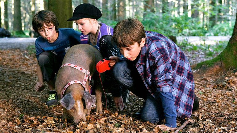 Kinder mit Schwein (Foto: SWR, SWR -)