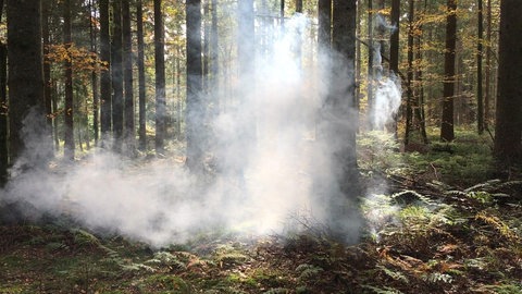 Special Effects (Foto: SWR)