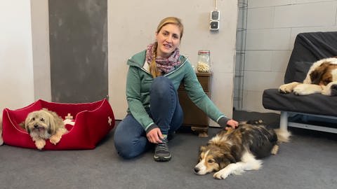 Tiertrainerin Farina mit ihren Hunden (Foto: SWR)