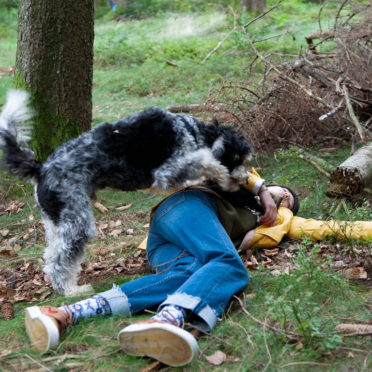 Jojo findet die ohnmächtige Nina im Wald (Foto: SWR)