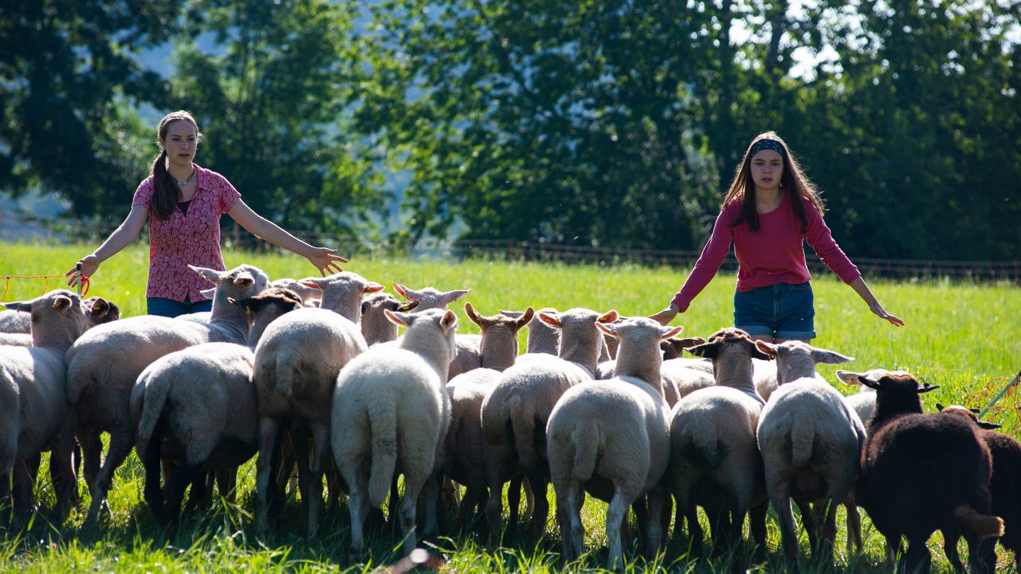 Paulina und Leo vor einer Schafherde