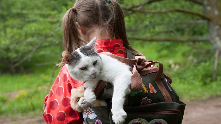 Mädchen bei "Tiere bis unters Dach" mit einer Katze in einem Rucksack (Foto: SWR, Maria Wiesler)