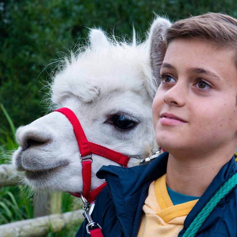 Tiere bis unters Dach: Liam mit Alpaka Pascha (Foto: SWR, Maria Wiesler)