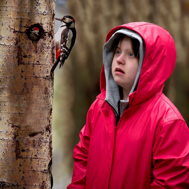 Toni sieht eine Spechtfamilie im Wald (Foto: SWR)