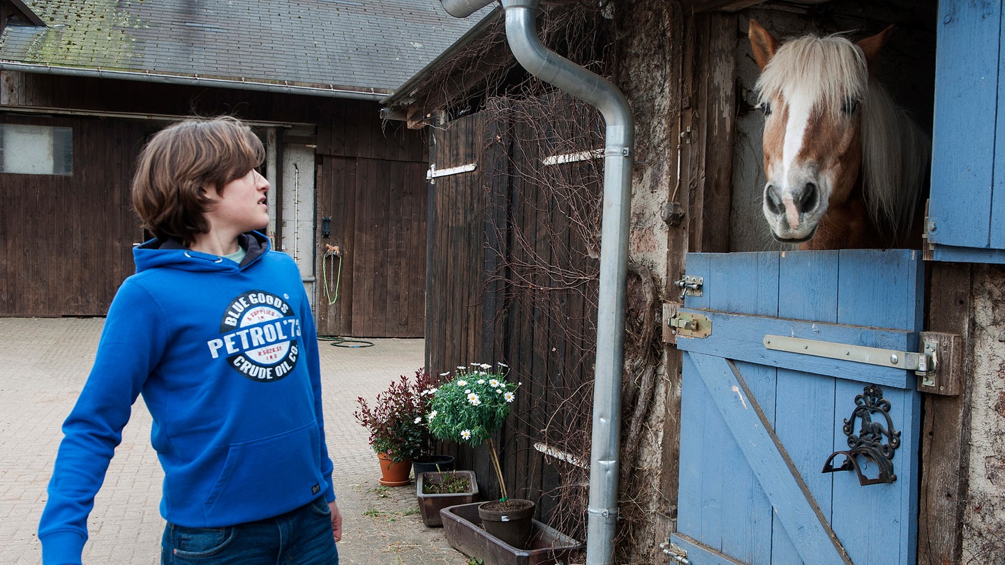 Jan erschrickt vor einem Pferd (Foto: SWR)