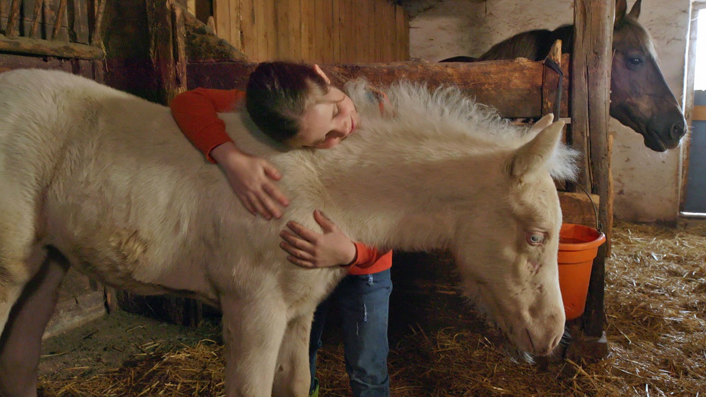 Lucy mit ihrem Fohlen (Foto: SWR)