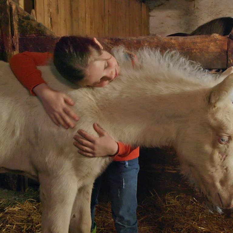 Lucy mit ihrem Fohlen