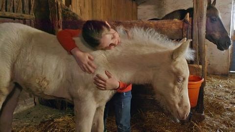 Lucy mit ihrem Fohlen (Foto: SWR)
