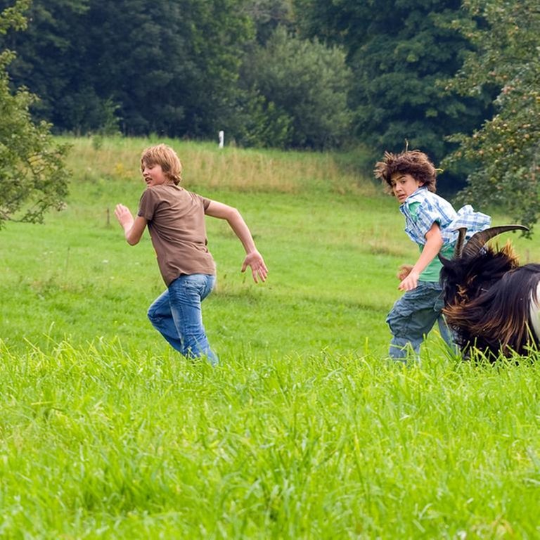 Darsteller der Serie "Bocksprünge" (Foto: SWR, SWR -)