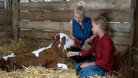 Darsteller aus "Tiere bis unters Dach - Milchmädchenrechnung" (Foto: SWR, SWR -)