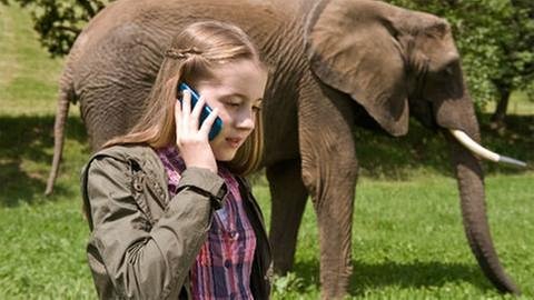 Ein Mädchen mit einem Elefanten (Foto: SWR, SWR -)