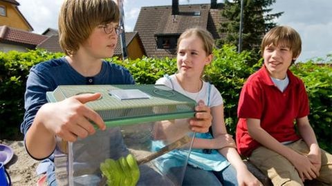 Kinder mit einer Schlange (Foto: SWR, SWR -)