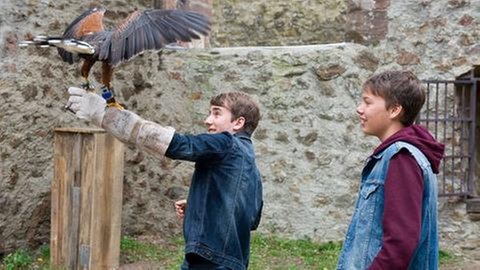 Darsteller aus "Tiere bis unters Dach - Adleraugen" (Foto: SWR, SWR -)