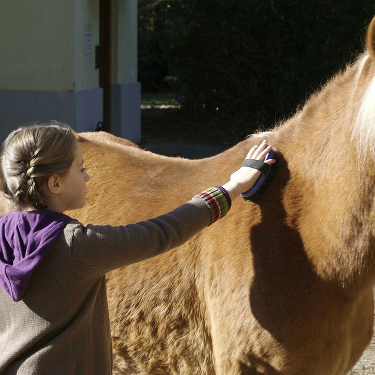 Darsteller der Serie "Tiere bis unters Dach" (Foto: SWR, SWR -)