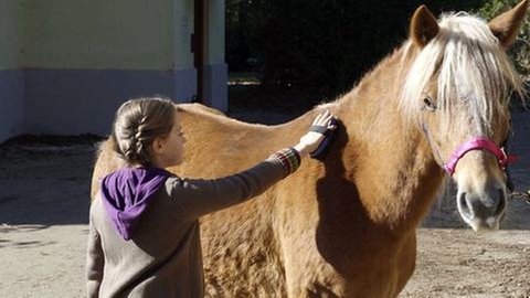 Darsteller der Serie "Tiere bis unters Dach" (Foto: SWR, SWR -)