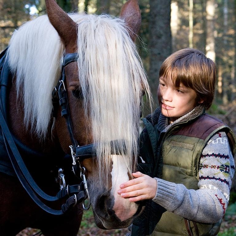 Darsteller der Serie "Tiere bis unters Dach" mit einem Pferd (Foto: SWR, SWR -)