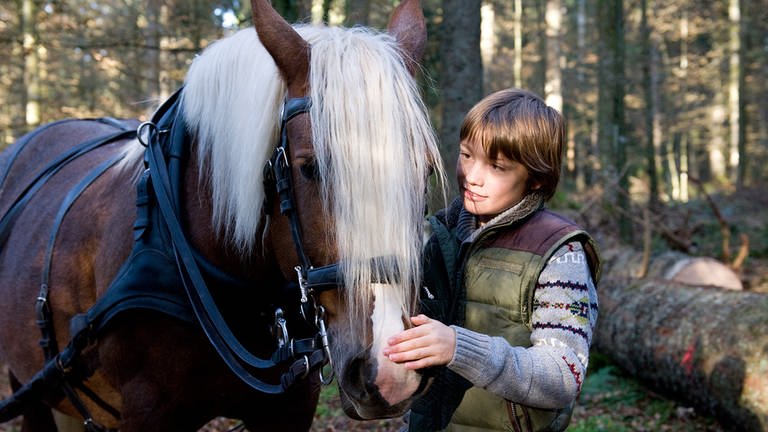 Darsteller der Serie "Tiere bis unters Dach" mit einem Pferd (Foto: SWR, SWR -)