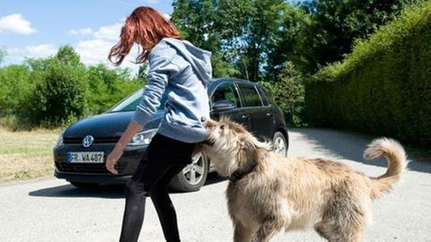 Hund hält Mädchen fest (Foto: SWR, SWR -)