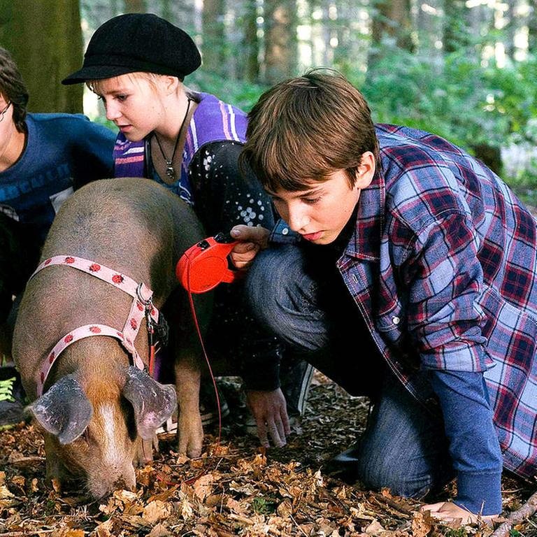 Kinder mit Schwein (Foto: SWR, SWR -)