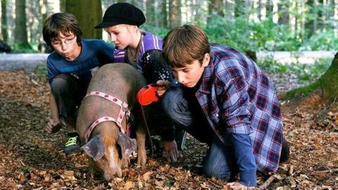 Kinder mit Schwein (Foto: SWR, SWR -)