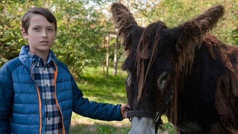 Ein Junge hält einen Esel (Foto: SWR, SWR -)