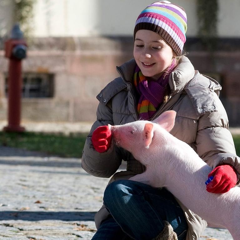 Mädchen mit einem kleinen Ferkel