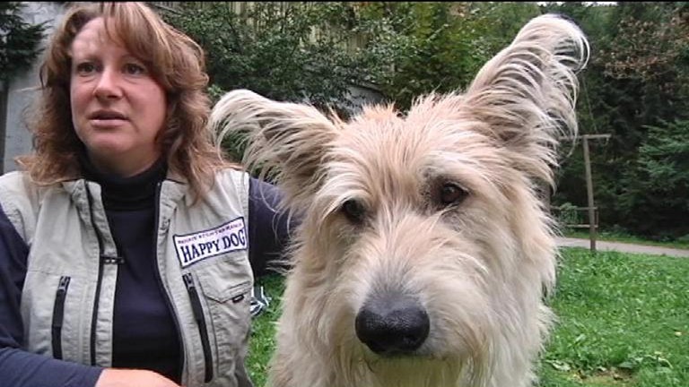 Filmhund Silas spielt "Brezel" (Foto: SWR)