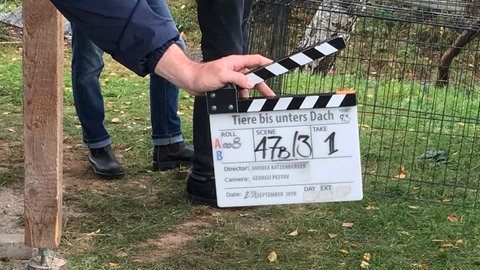 Klappe am Set (Foto: SWR)