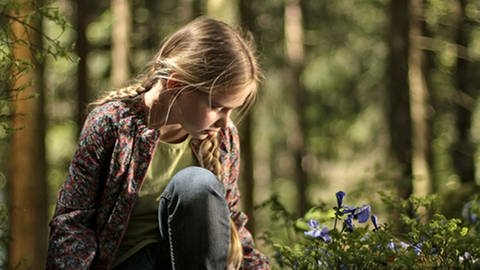 Lilie im Wald (Foto: SWR, Jan Geerk)